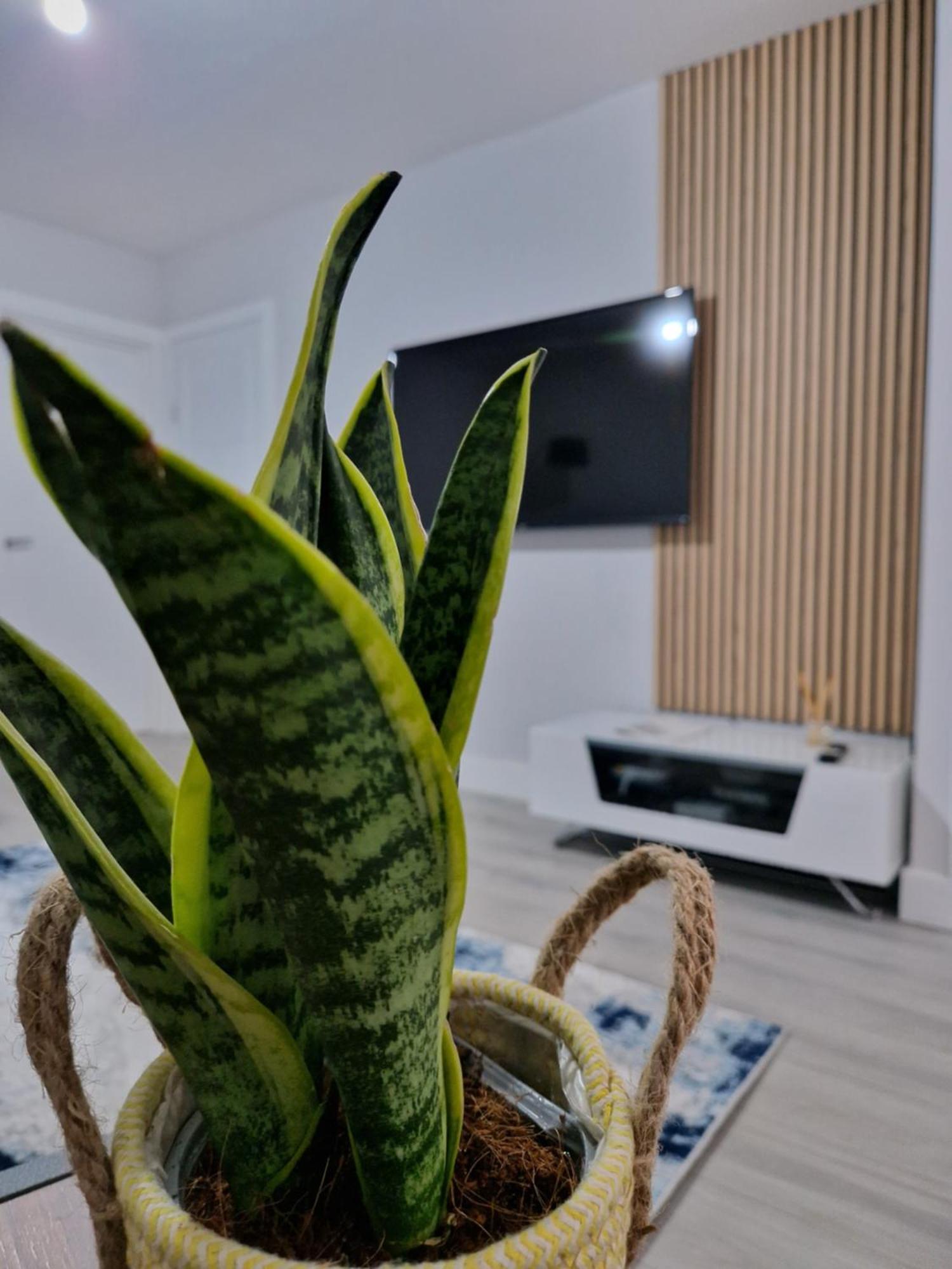 Stylish 2 Bed Home- Short Walk To Tottenham Stadium/Stations 伦敦 外观 照片